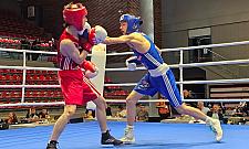 Następcy Gołoty, Adamka i Szpilki poszukiwani