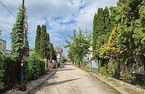 Utwardzają ulicę Krakusa