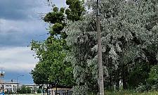 Na Jelonkach coraz widniej. "Sava" wkracza na osiedle