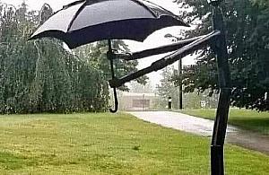 Będzie baśniowo w parku Herberta?