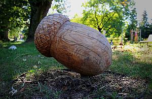 Kolejne "skwery" na zalesionych terenach Białołęki?