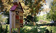 Kolejne "skwery" na zalesionych terenach Białołęki?