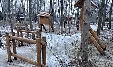 Kolejne "skwery" na zalesionych terenach Białołęki?