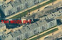 Szpaler krzewów kosztem chodnika w centrum Żoliborza?