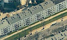 Szpaler krzewów kosztem chodnika w centrum Żoliborza?