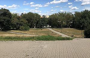 Zimna woda zdrowia doda na żoliborskim placu? Trwa głosowanie!