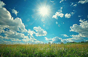 Jak radzić sobie z upałami? Śmieszne klapki to jeden ze sposobów!