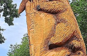 Rzeźba w pniu wyciętego drzewa na Żoliborzu