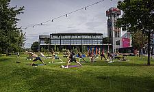 Westfield Summer Festival. Każdy znajdzie coś dla siebie!