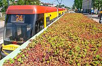 Remont jednego z najbardziej obciążonych odcinków sieci tramwajowej