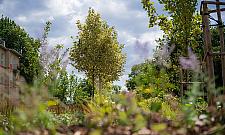 Dwukilometrowy "park" wzdłuż ruchliwych ulic na Bielanach już gotowy