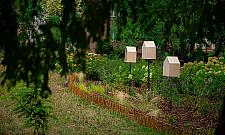 Dwukilometrowy "park" wzdłuż ruchliwych ulic na Bielanach już gotowy