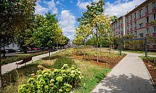 Dwukilometrowy "park" wzdłuż ruchliwych ulic na Bielanach już gotowy