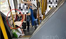 Pies siedzi, ludzie stoją. "Z fanatyzmem psiarzy ciężko dyskutować"