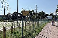 "Ekologia" w Legionowie. Oko³o 300 drzew wysuszyli na s³oñcu