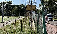 "Ekologia" w Legionowie. Około 300 drzew wysuszyli na słońcu