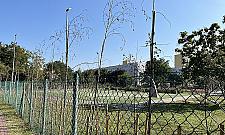 "Ekologia" w Legionowie. Około 300 drzew wysuszyli na słońcu