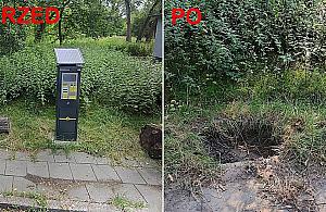 "Skok stulecia" w Warszawie. Nie uwierzycie, ile wyciągnęli z maszyny