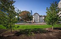 Ogród deszczowy zamiast miejsc parkinowych