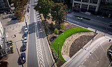 Ogród deszczowy zamiast miejsc parkinowych