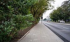 Powązkowska po niewielkich zmianach