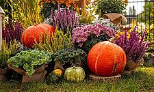 Ogród Sensoryczny na Targówku otwarty