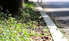 Bohomolca jak nowa - wymieniono asfalt, chodniki i zadbano o zieleń