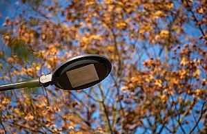 Radny poprosił o latarnie. "Standardowa" odpowiedź urzędników