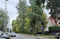 Ciemne przejścia przez Pełczyńskiego. ZDM nie zrozumiał radnego