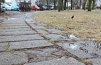 Nowe drzewa ważniejsze niż chodnik. Mieszkańcy zadecydowali