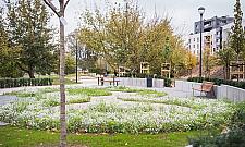 Drugi odcinek skweru Krasińskiego otwarty