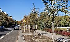 Czy na Żoliborzu dochodzi do nielegalnych wyścigów?