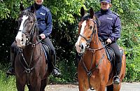 Patrole konne receptą na spokój w parkach?