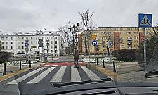 Żywopłot ważniejszy od ścieżki rowerowej? Radykalna propozycja radnego