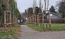 Furtka niezgody. To wygodny skrót, ale klucz mają działkowcy