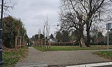 Furtka niezgody. To wygodny skrót, ale klucz mają działkowcy