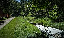 Drna wypłynie na powierzchnię? Chęci są, konkretów brak