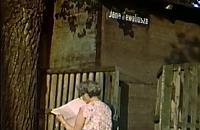 Nowa ulica na Bemowie. Dostanie historyczną nazwę