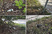 Trawniki pełne wszystkiego. Radni wypowiadają wojnę ulicznym śmieciarzom