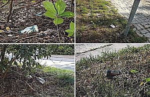 Trawniki pełne wszystkiego. Radni wypowiadają wojnę ulicznym śmieciarzom