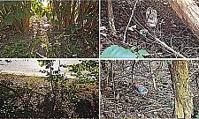 Trawniki pełne wszystkiego. Radni wypowiadają wojnę ulicznym śmieciarzom