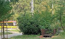 Jaki ma być w przyszłości park Kaskada?