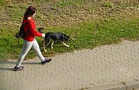 Mission impossible bemowskiej radnej. Jak pogodzić psiarzy z resztą mieszkańców?