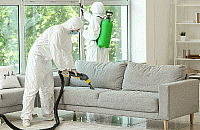 Kompleksowa dezynsekcja w Warszawie - skuteczne rozwiązania na uciążliwe owady