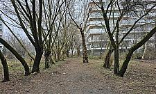 Koniec ulicy Matlakowskiego. Nie ma po niej śladu