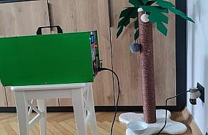 Ozonowanie mieszkań po zalaniach - czy to konieczne?