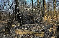 Park Wiśniewo uratowany przed zabudową