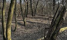 Park Wiśniewo uratowany przed zabudową