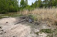 Jeziorko z dzieciństwa zamieniło się w kałużę