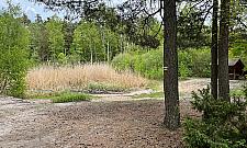 Jeziorko z dzieciństwa zamieniło się w kałużę